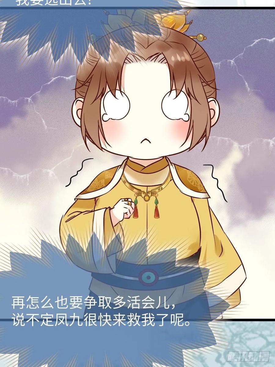 偷蛋7