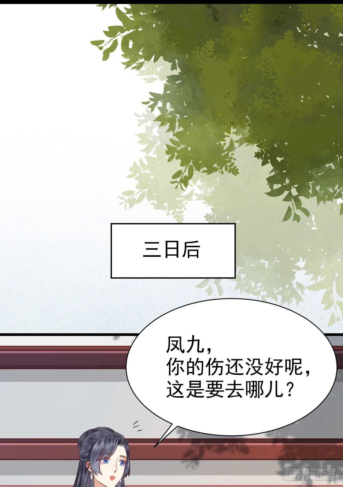凤九受伤43
