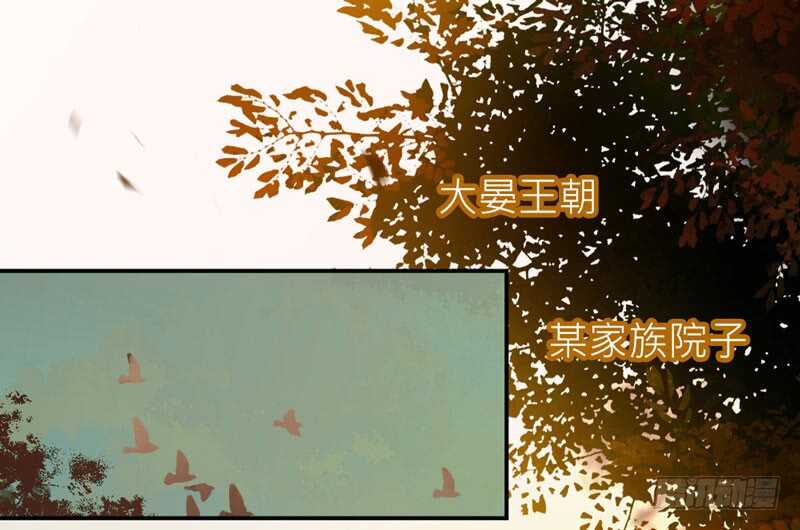 夫纲不振33