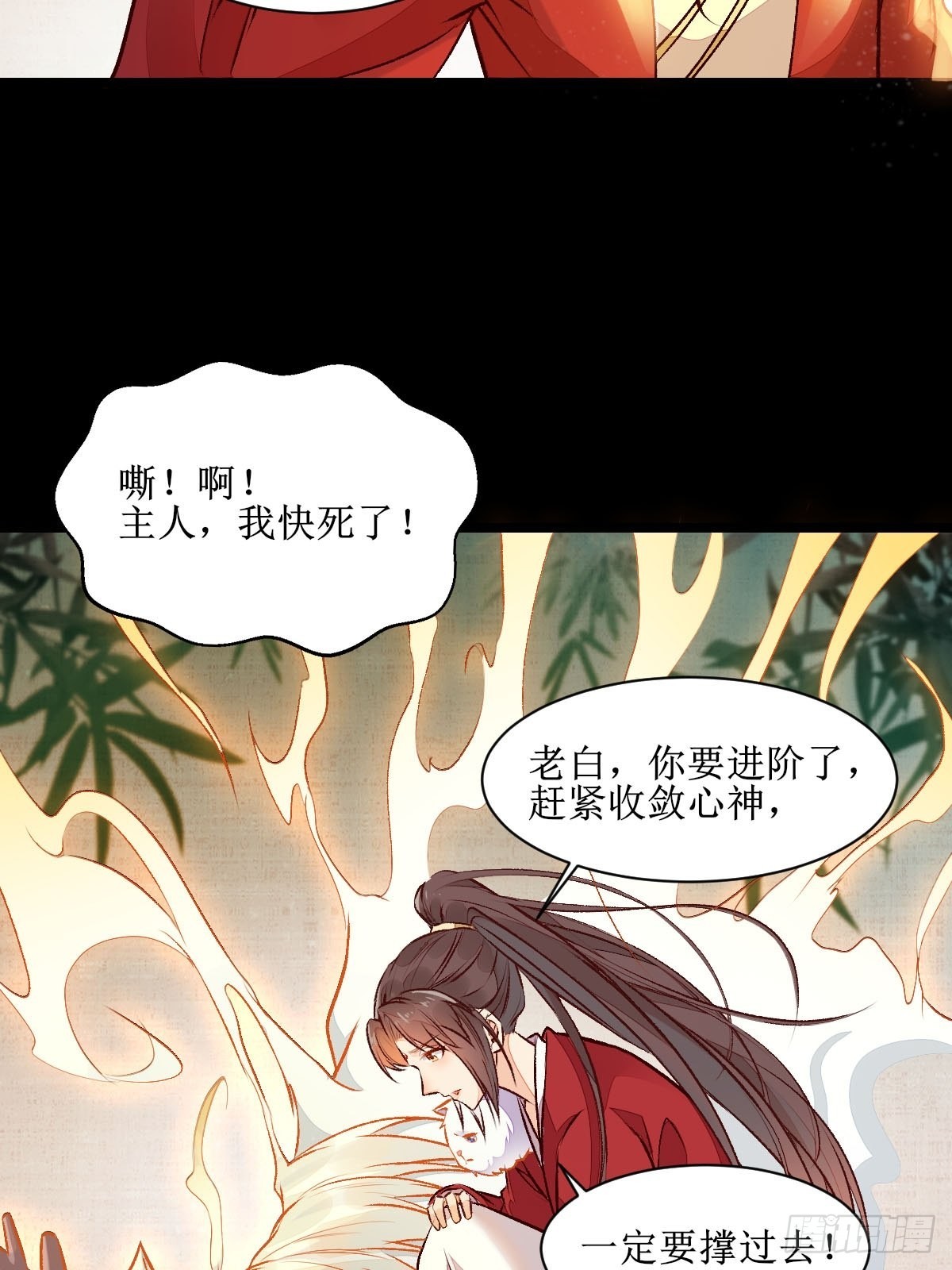 老白进阶！11