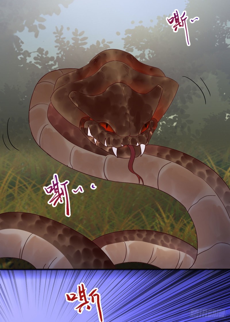入蛇窝25