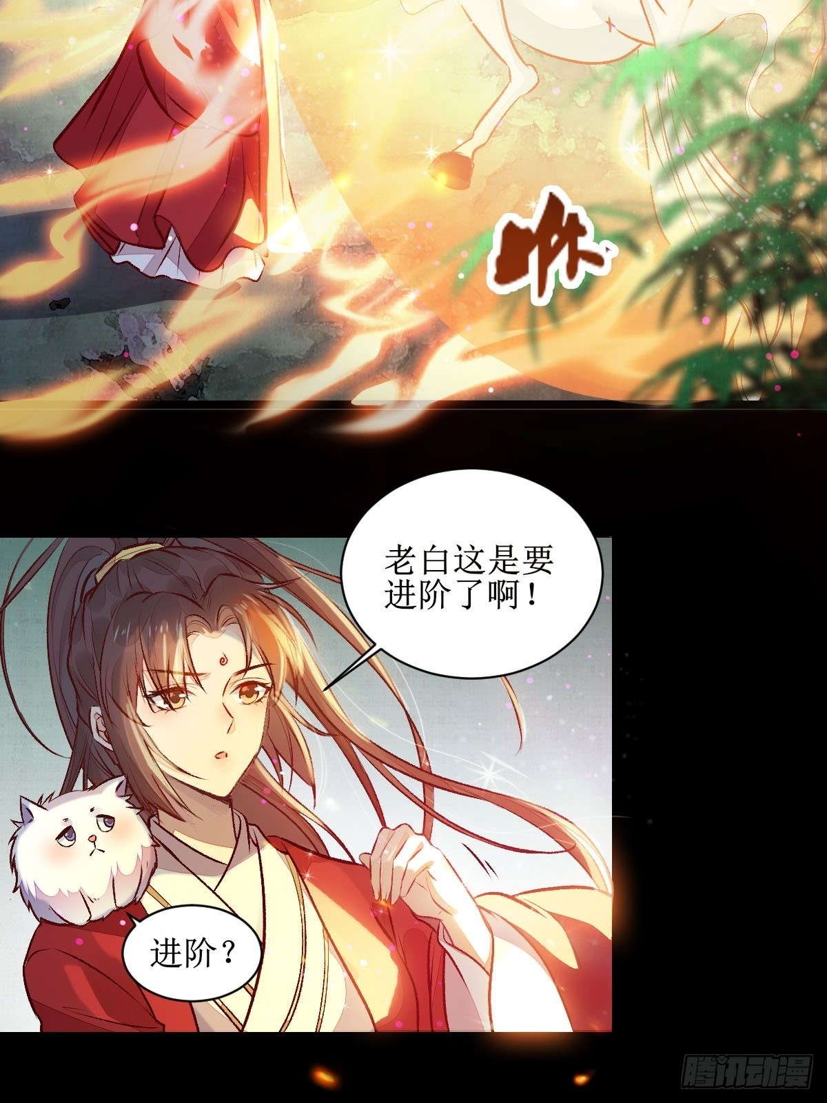 老白进阶！9