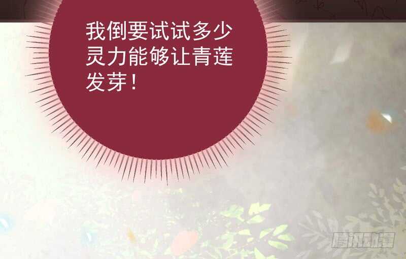 混沌青莲32