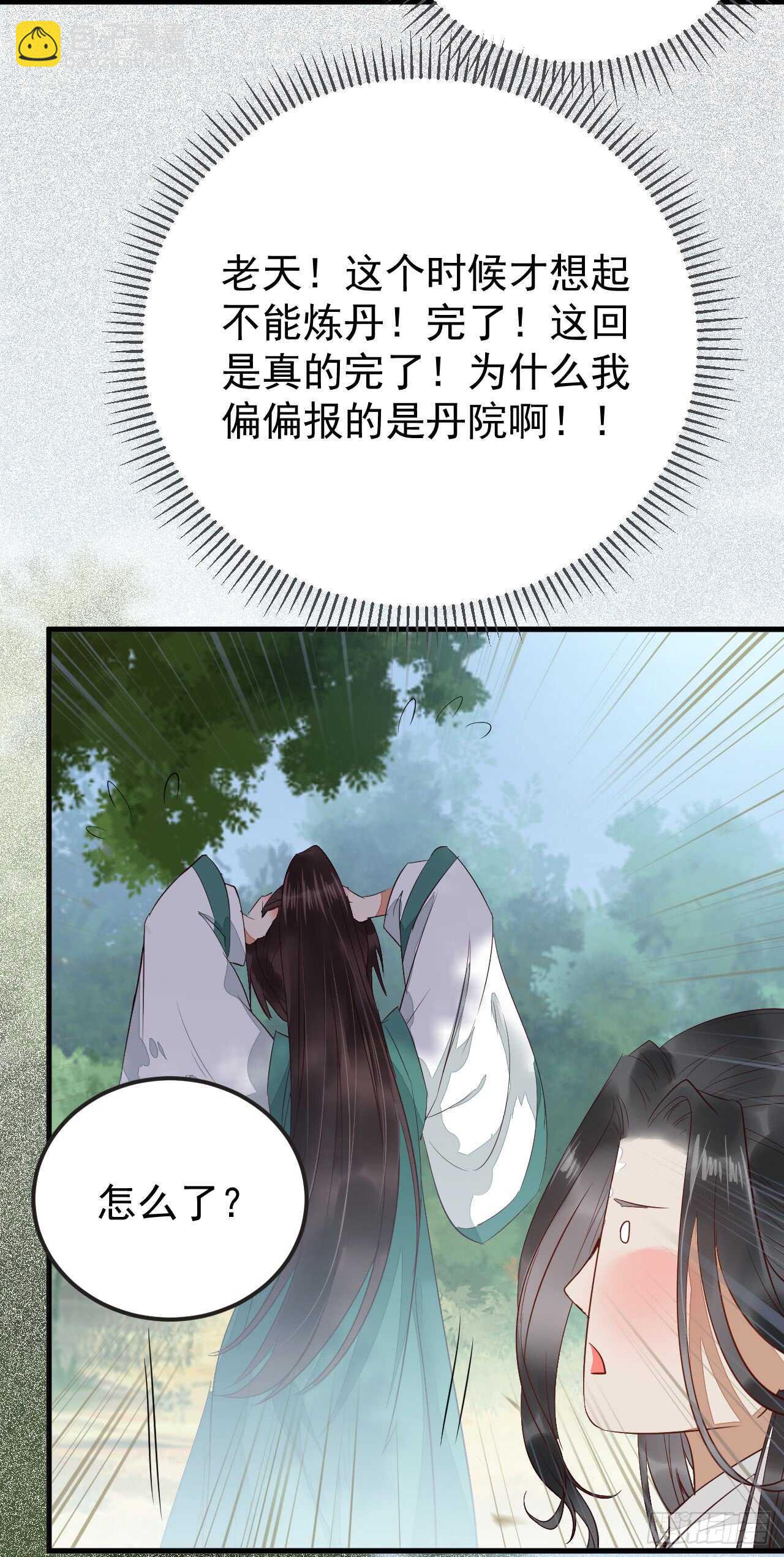 无法炼丹27