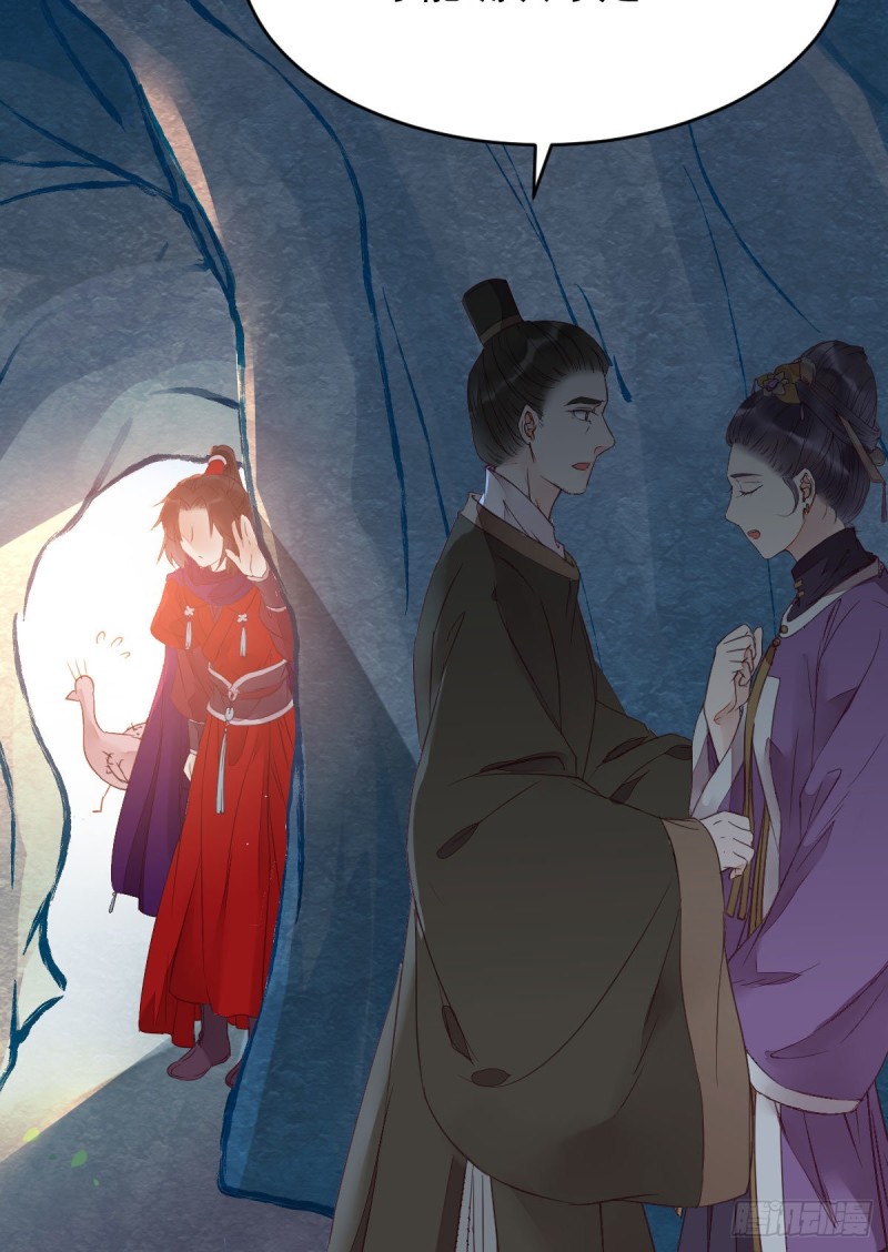 孔雀变烤鸡25