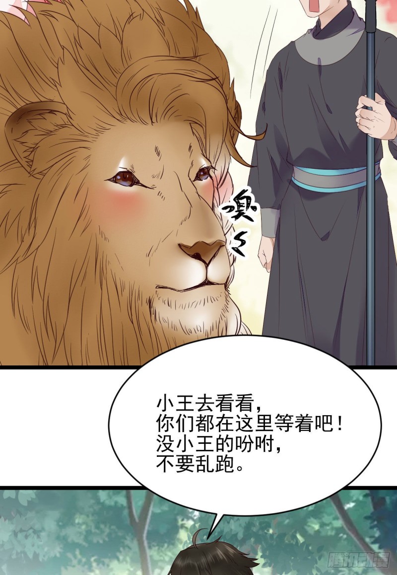 叮~段夜上线31