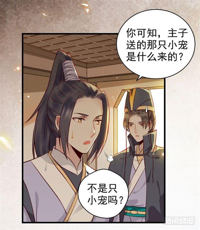 你怎么又来了？5