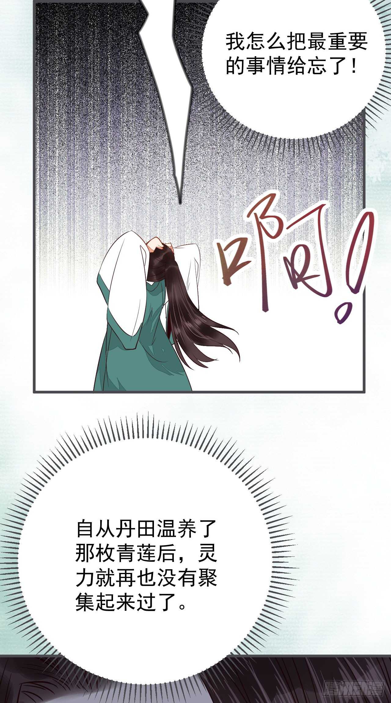无法炼丹25