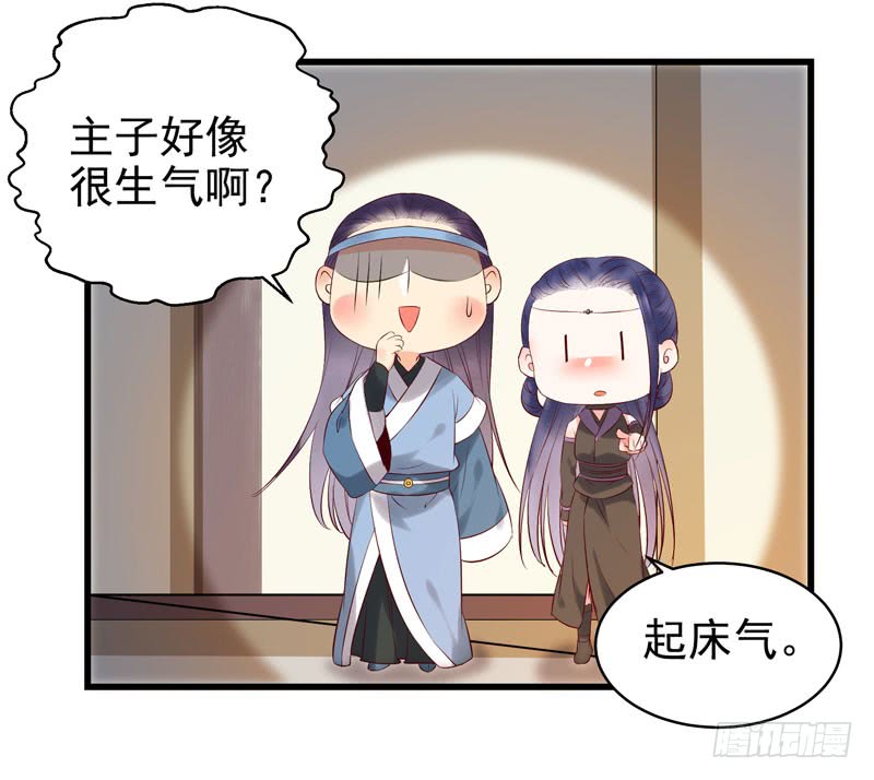 强娶凤九30