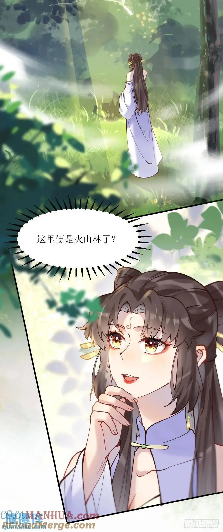 595 火山林38