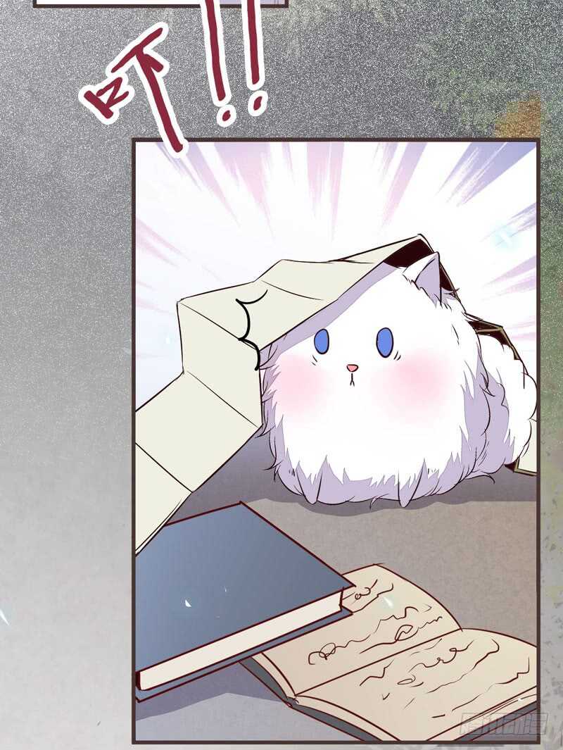 混沌青莲23