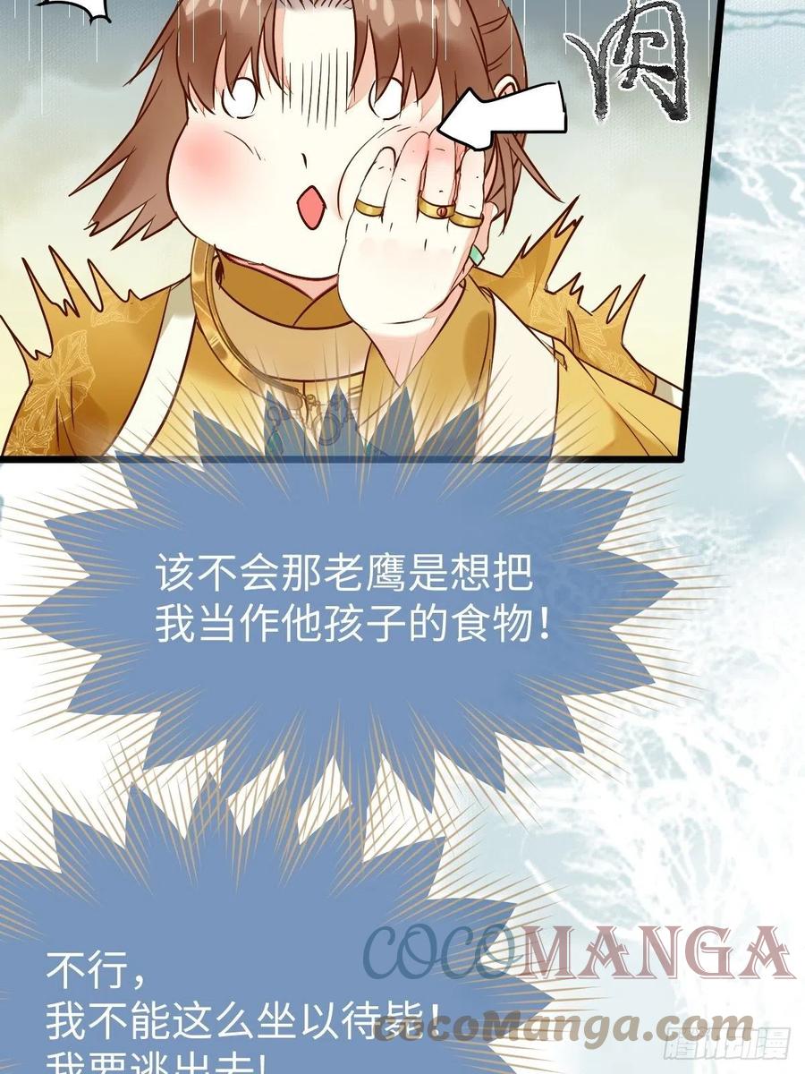 偷蛋6