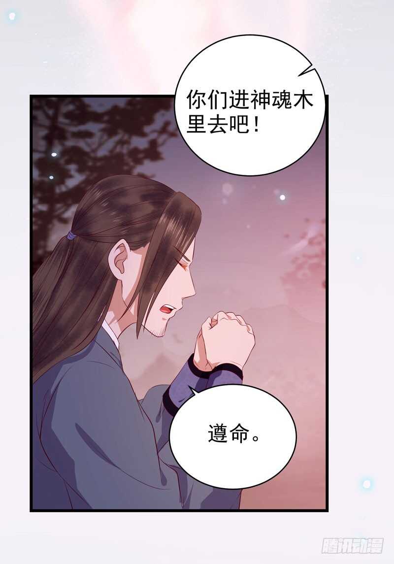 神魂木31