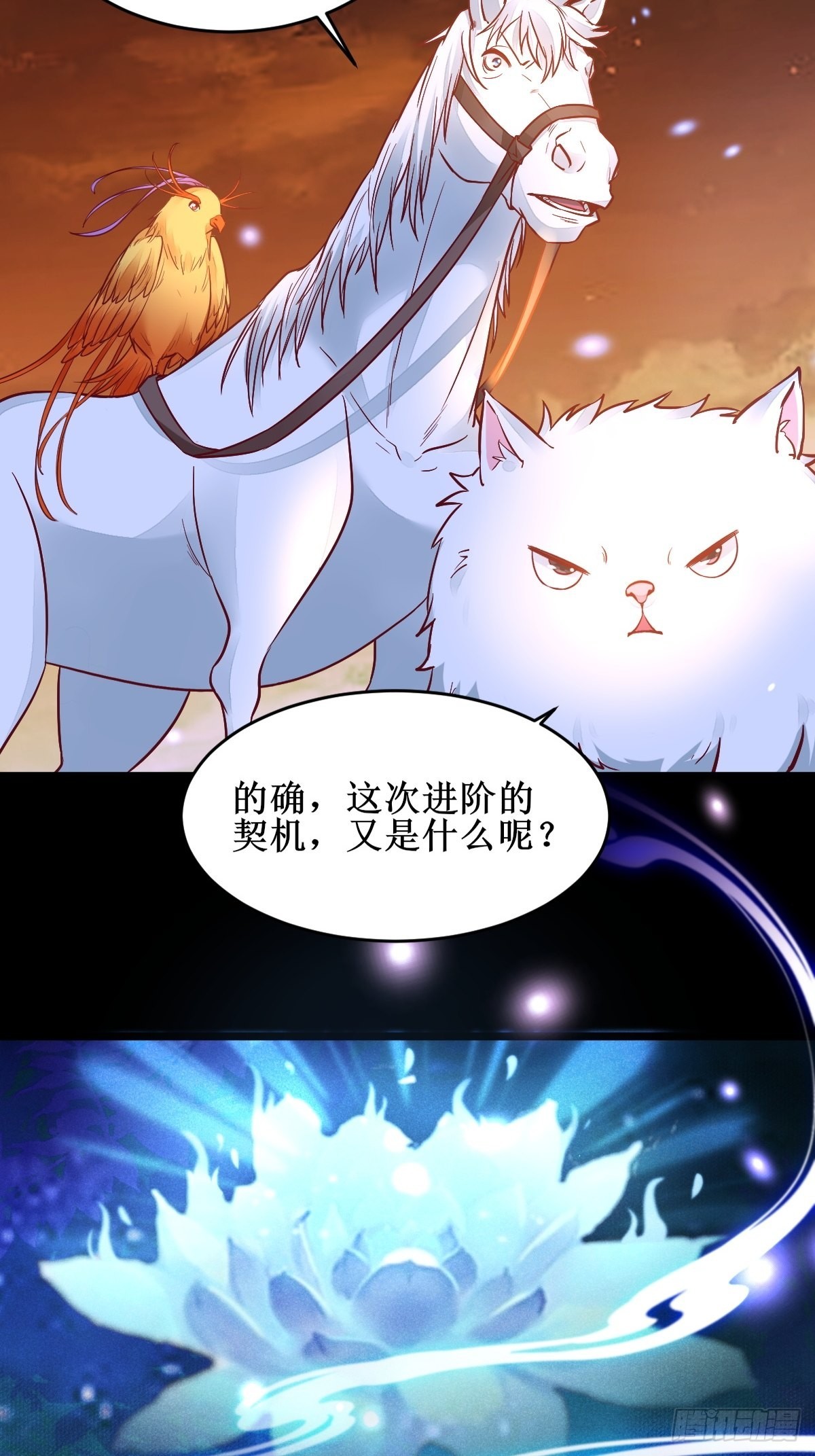进阶！37