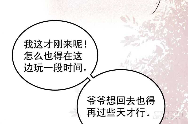 爷爷亲事43