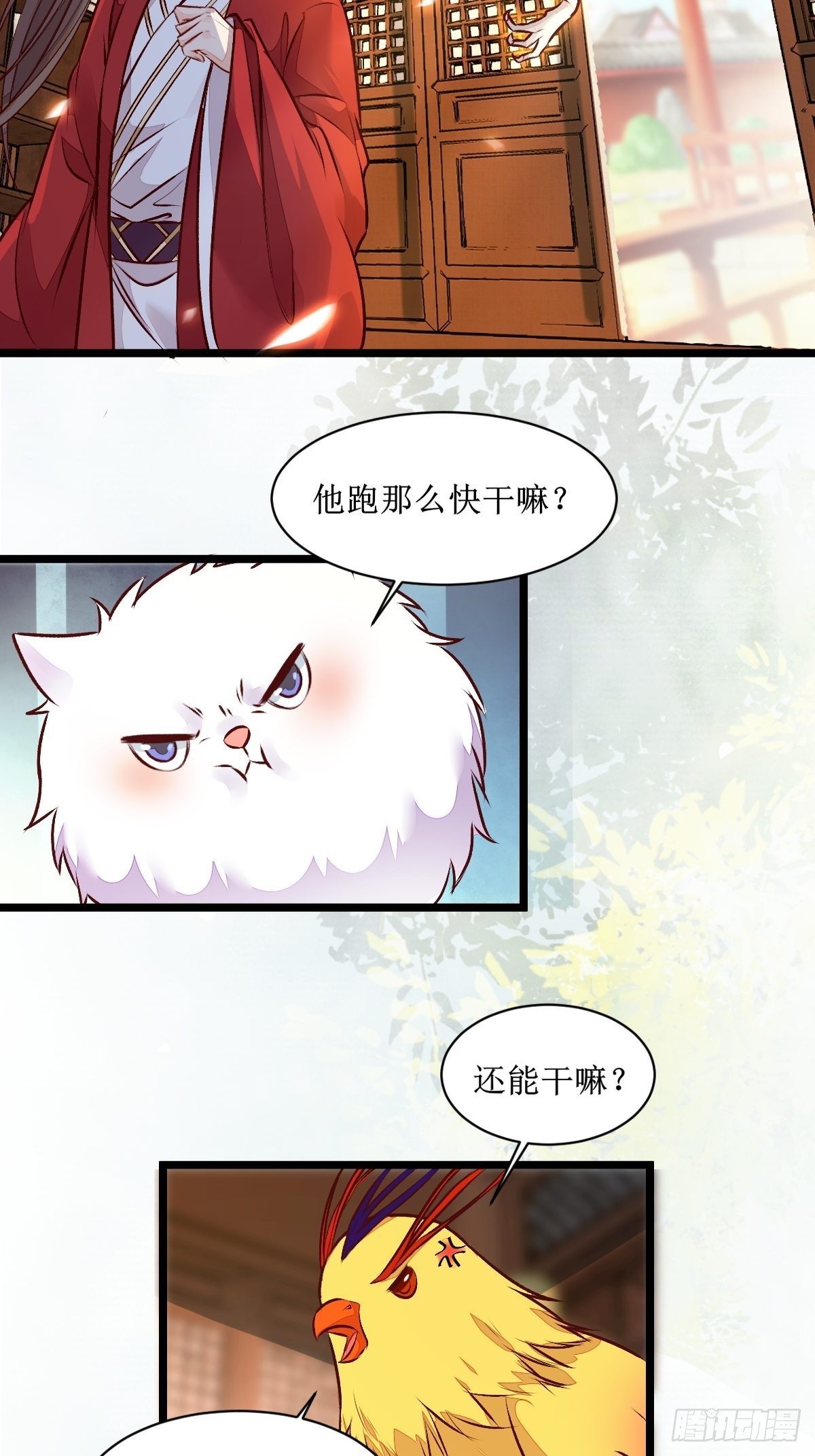 老白进阶！37
