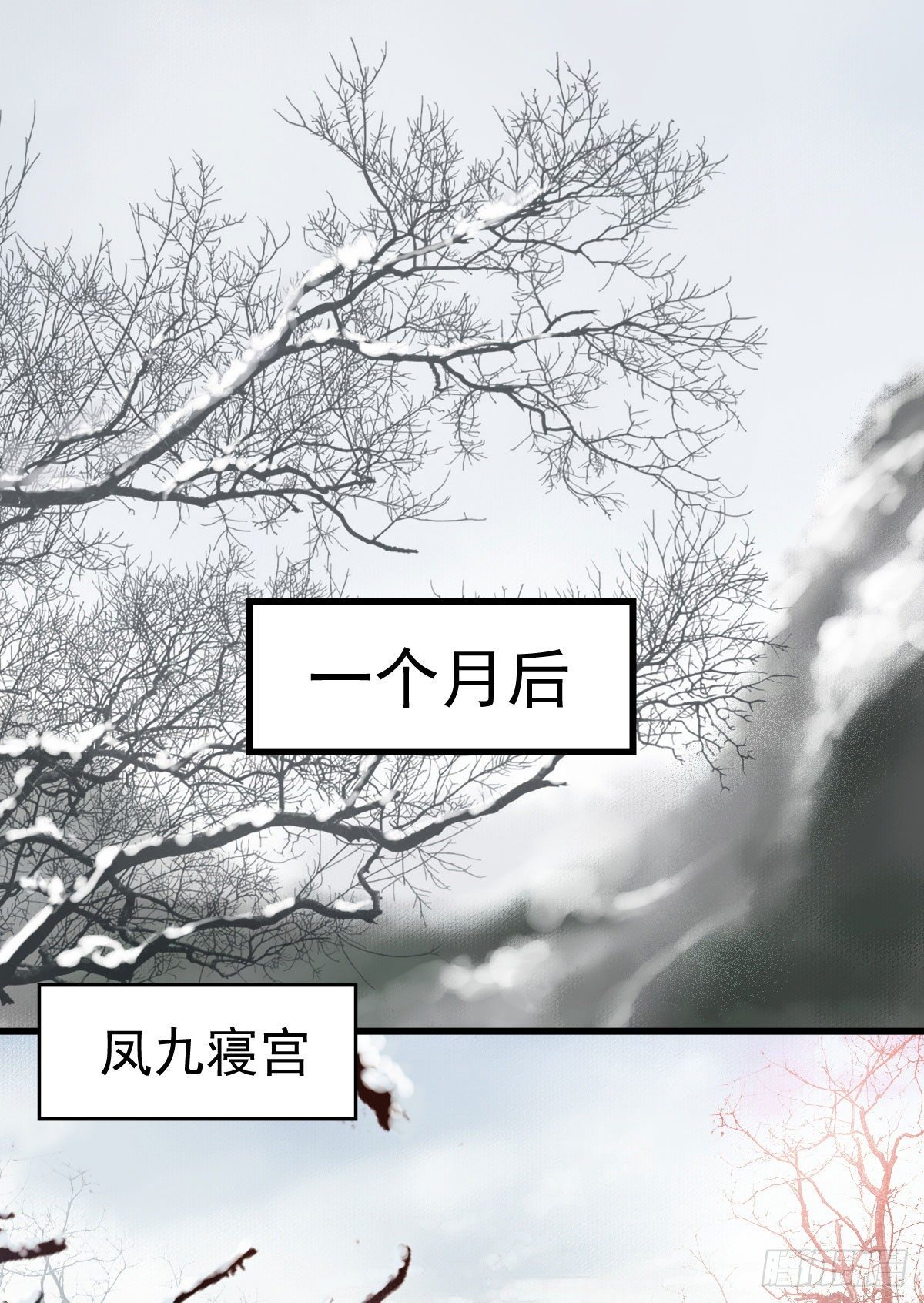 素惜姑姑要生了20