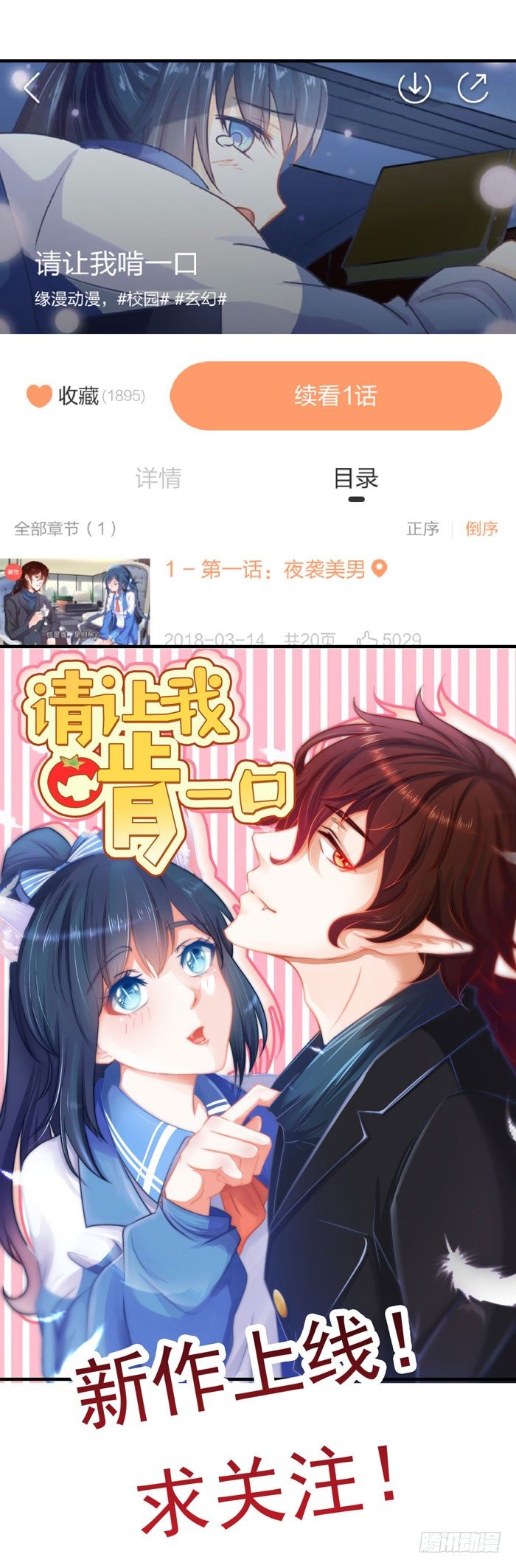 圆嘟嘟的小凤凰？33