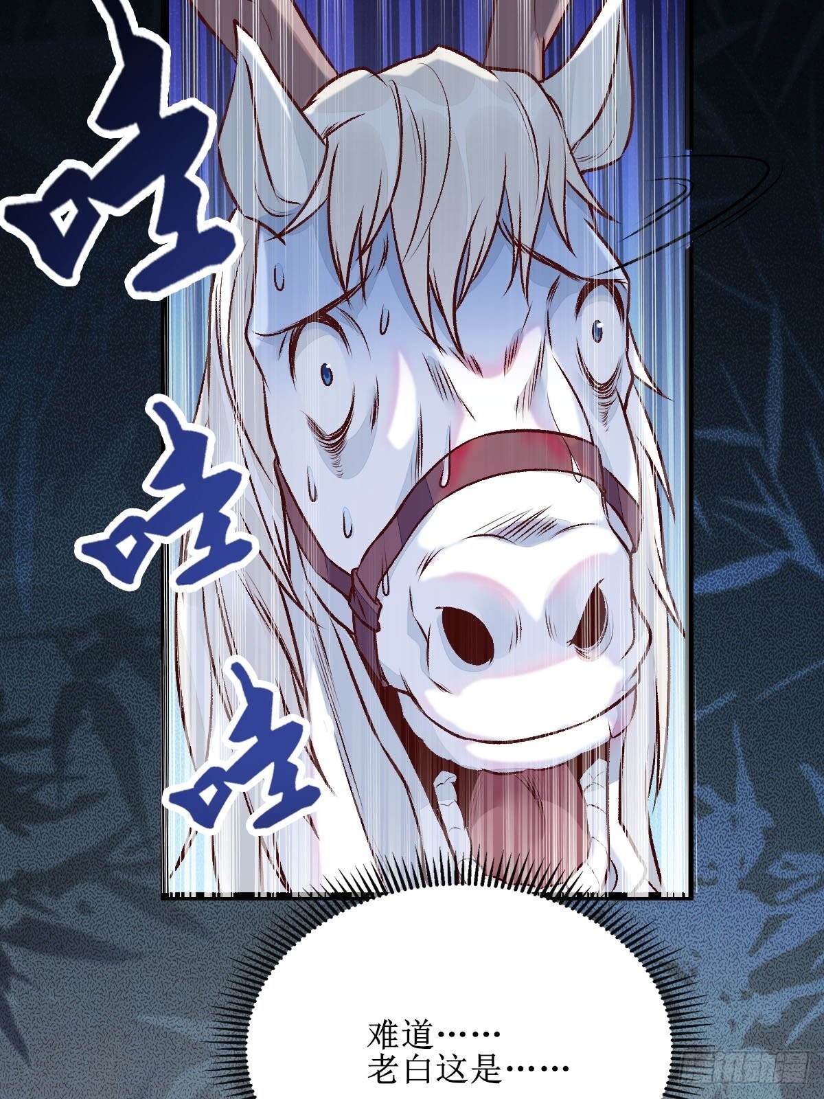 老白进阶！6