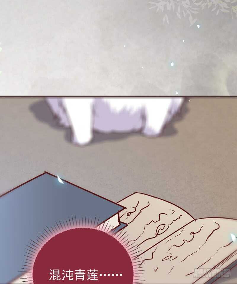 混沌青莲24