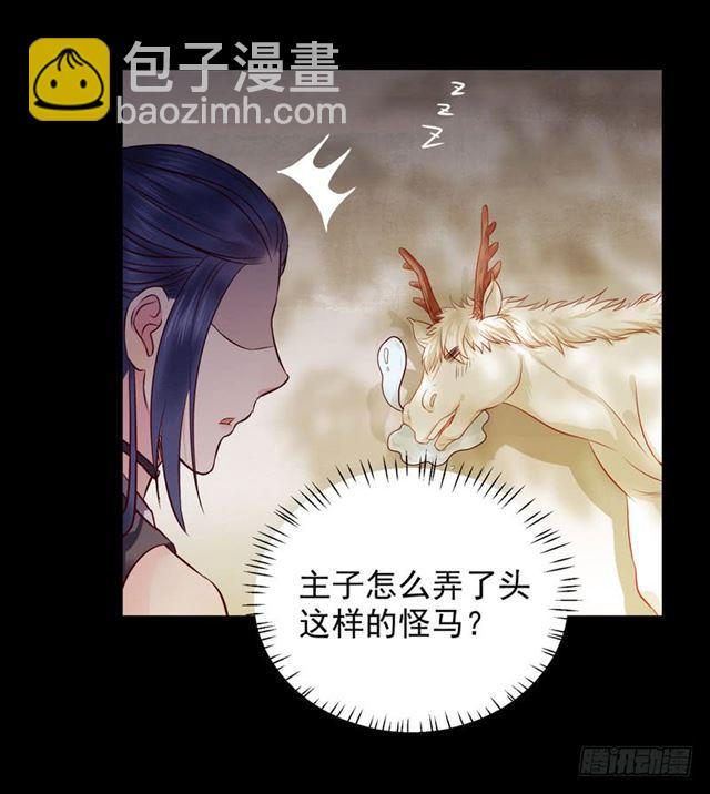 祸不累族34
