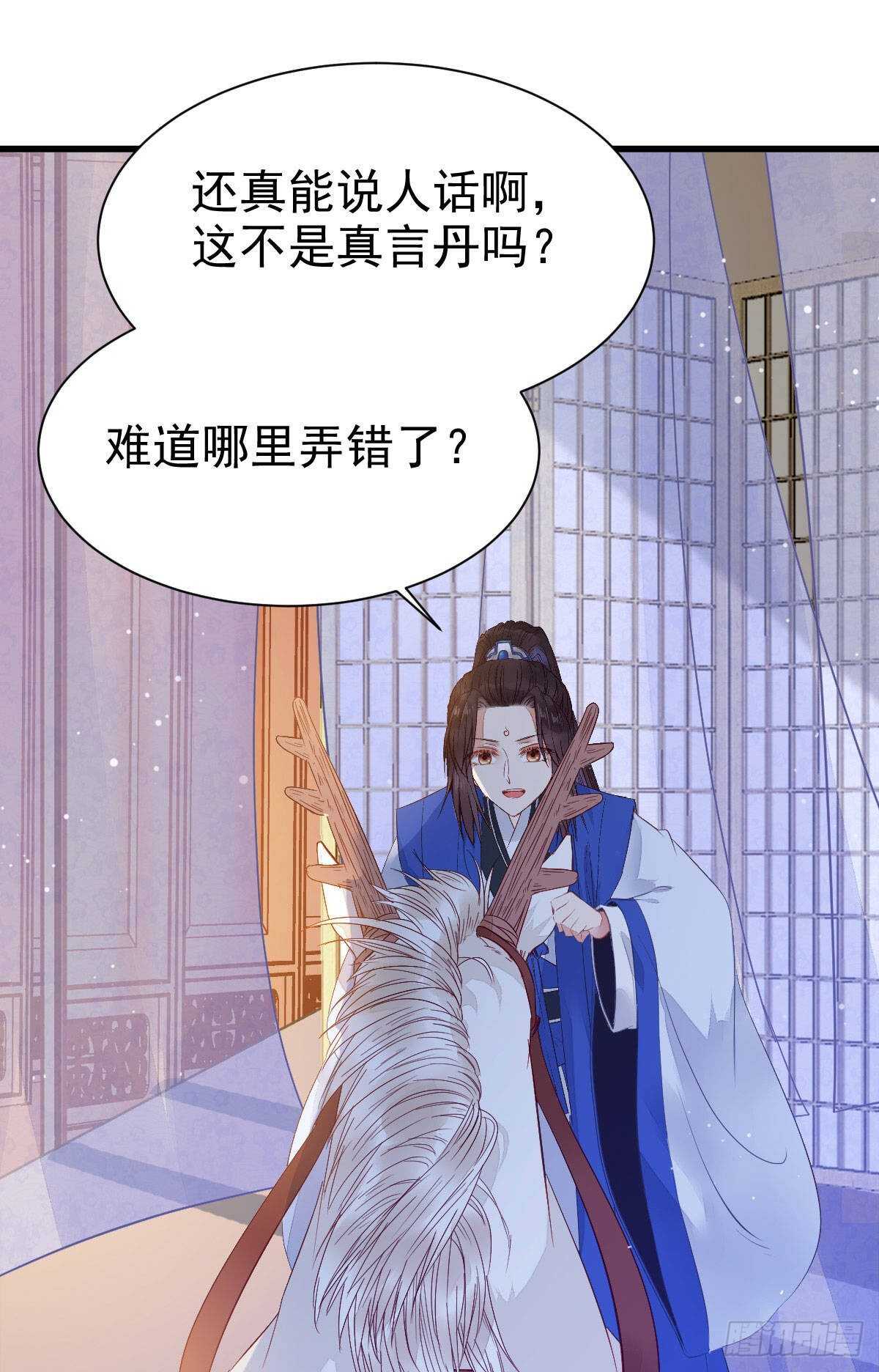 老白开口说人话8