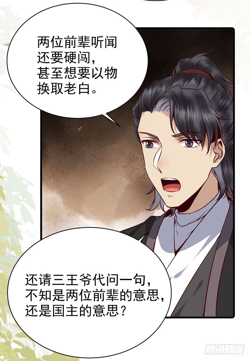 冲着老白来7