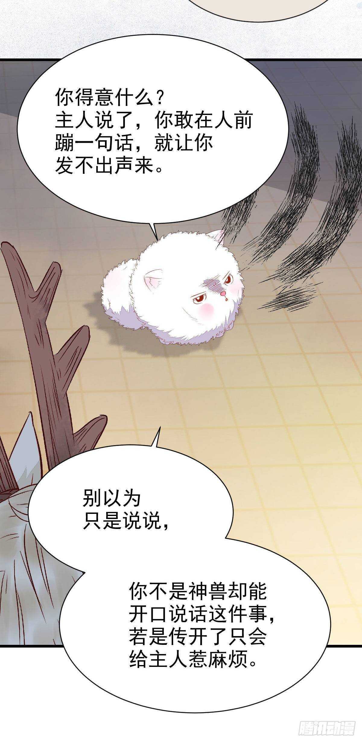 老白开口说人话17