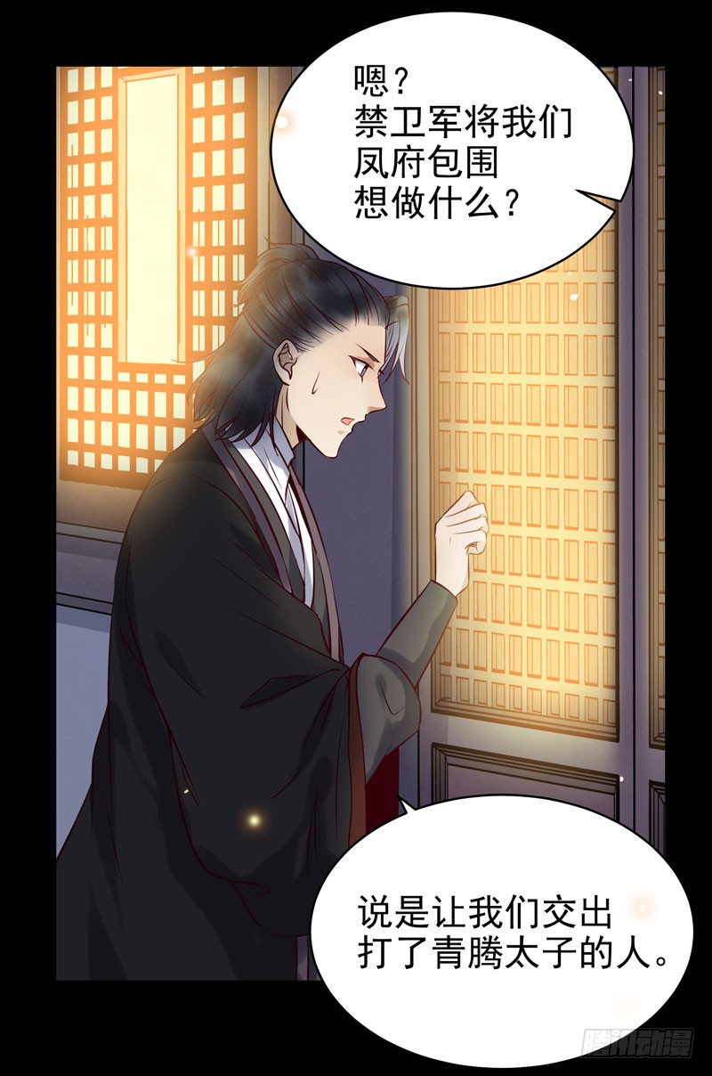 包围凤府40