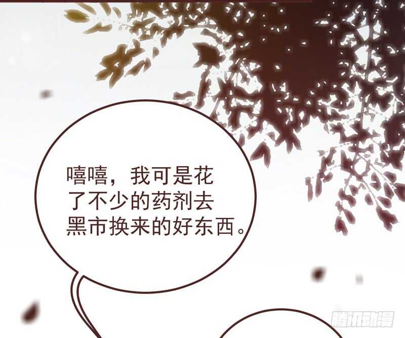 突破武皇47