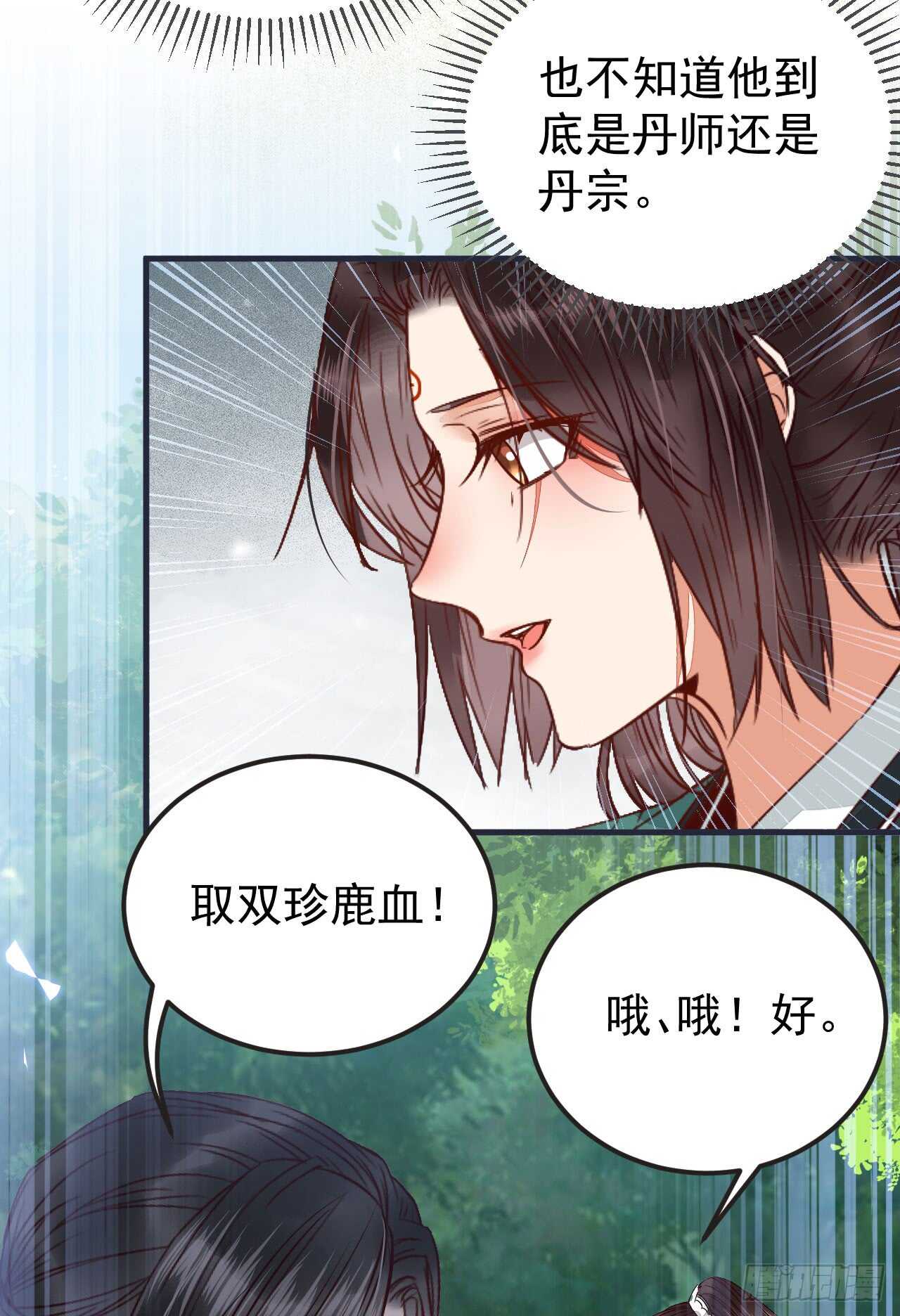 无法炼丹11