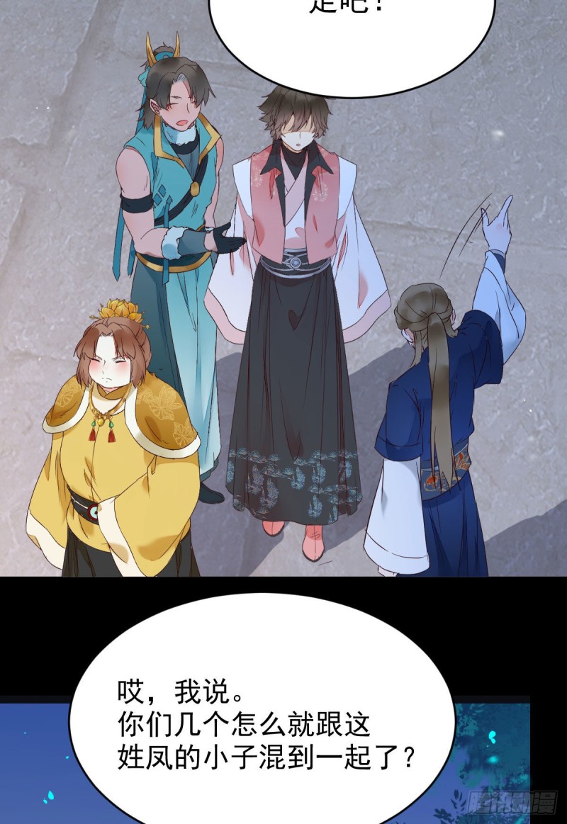 腹黑公子37