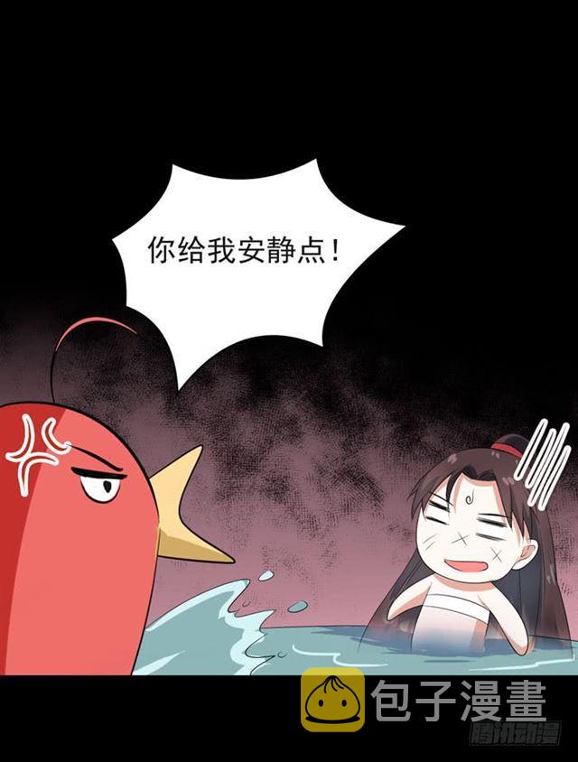 好大一只“鸟”29