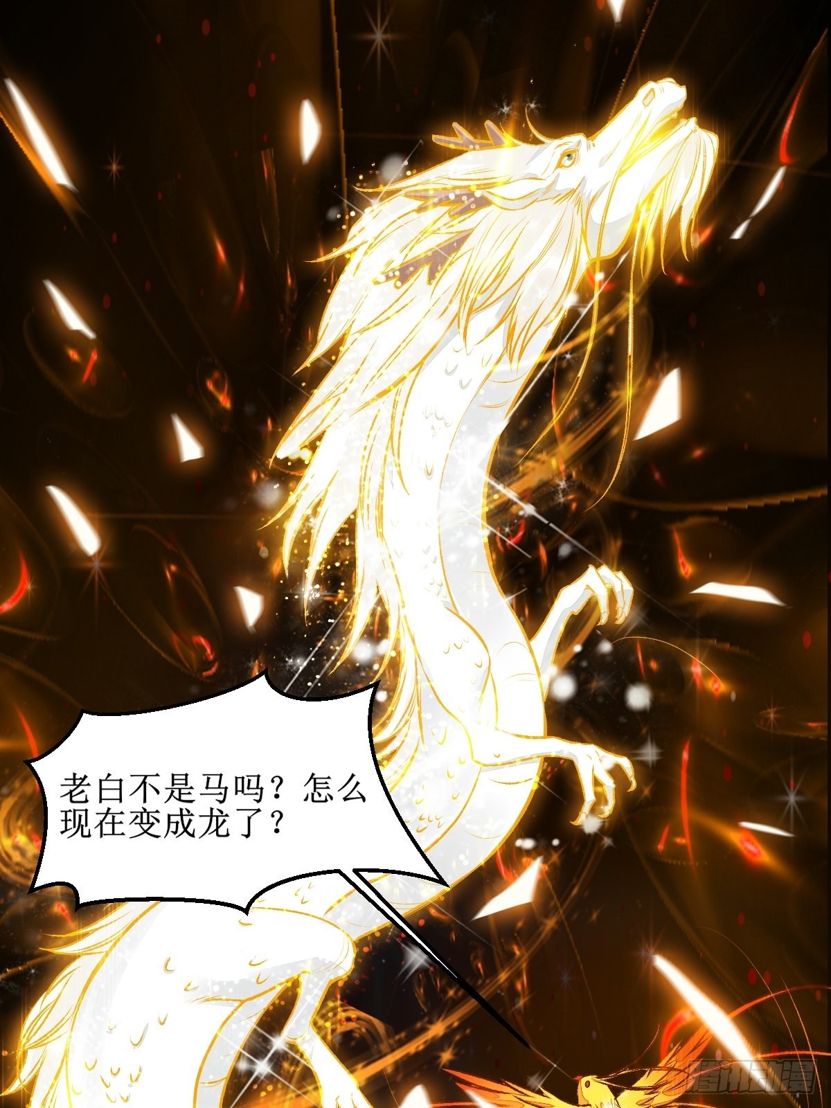 老白进阶！26