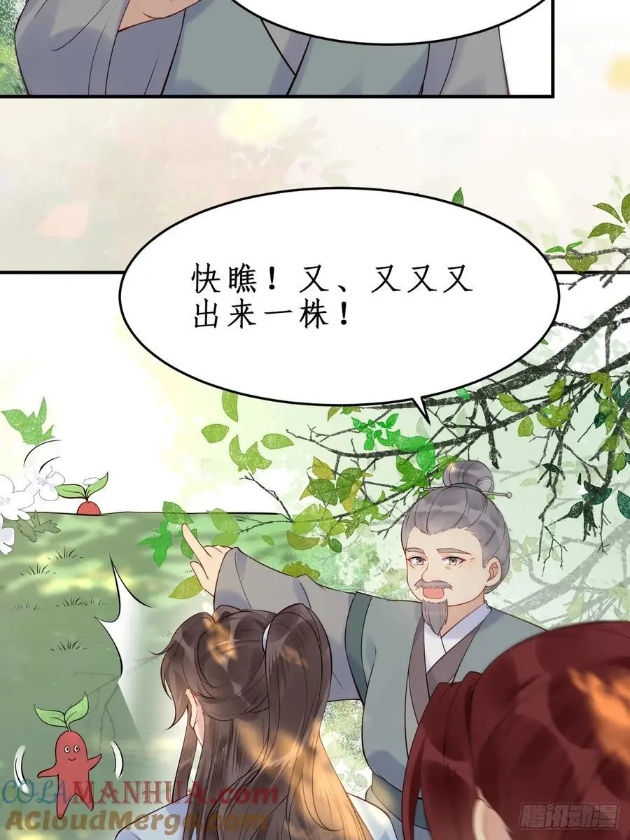 607 神仙草34