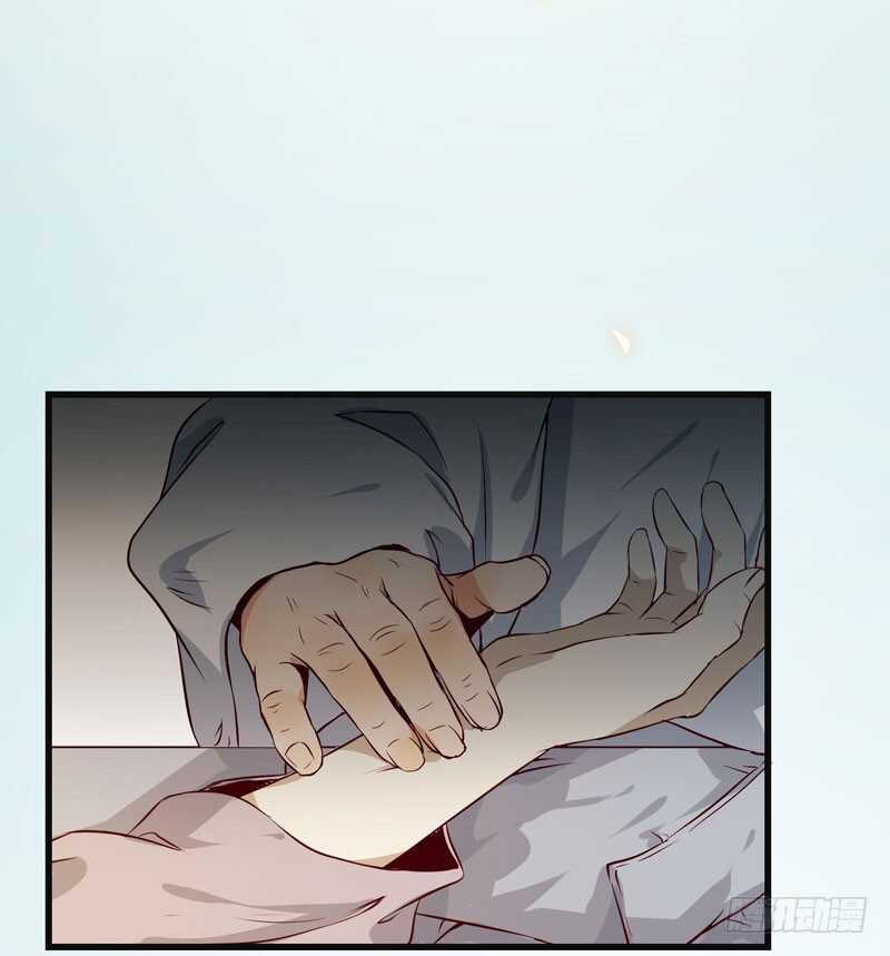 交权引辞40