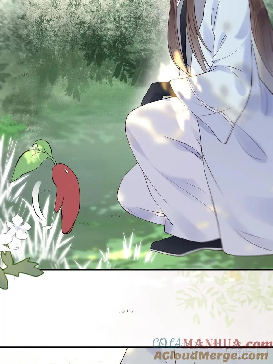 607 神仙草36