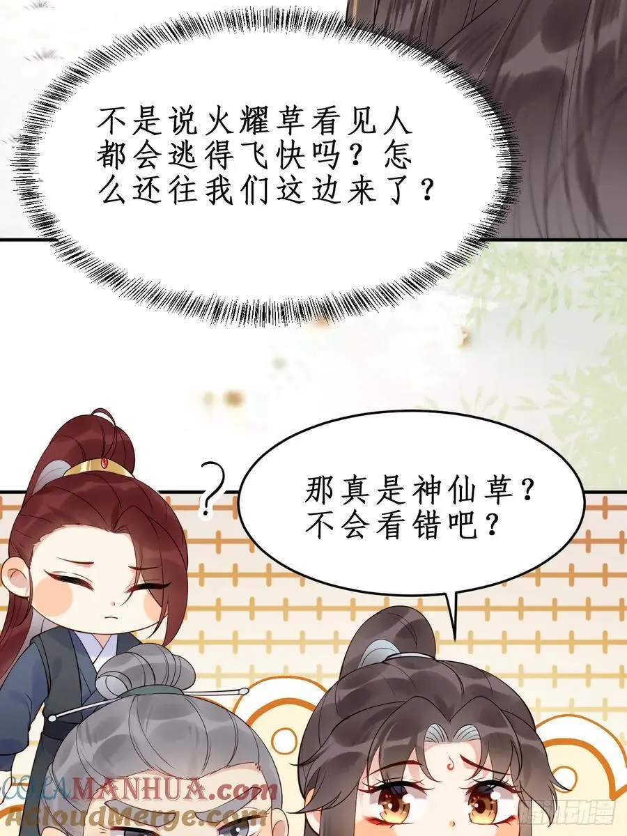 607 神仙草32
