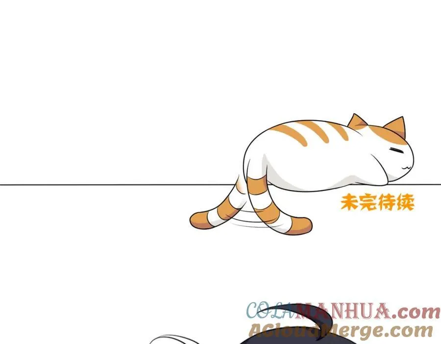 227 我是公鸡，可爱火鸟117
