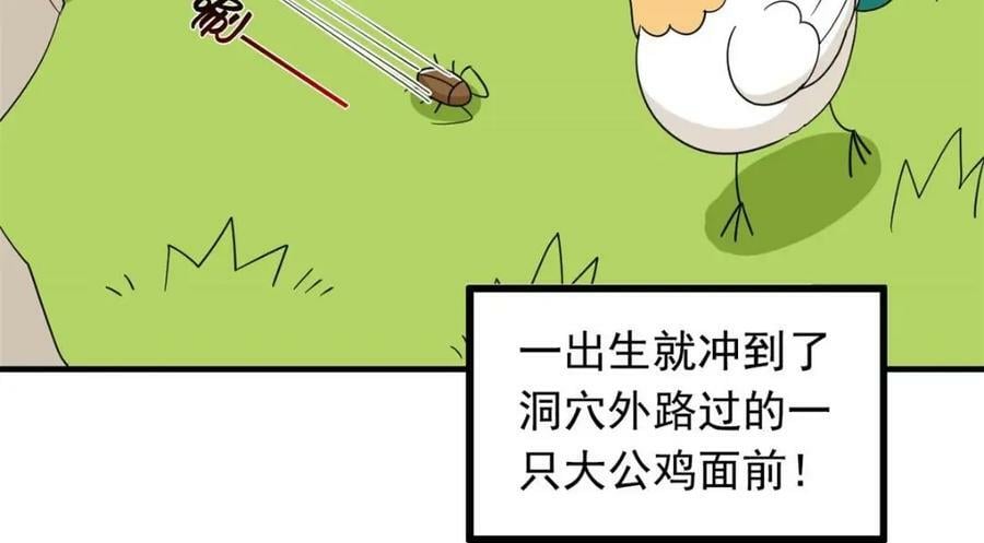 178 镇国之鸡，苍澜羽皇64