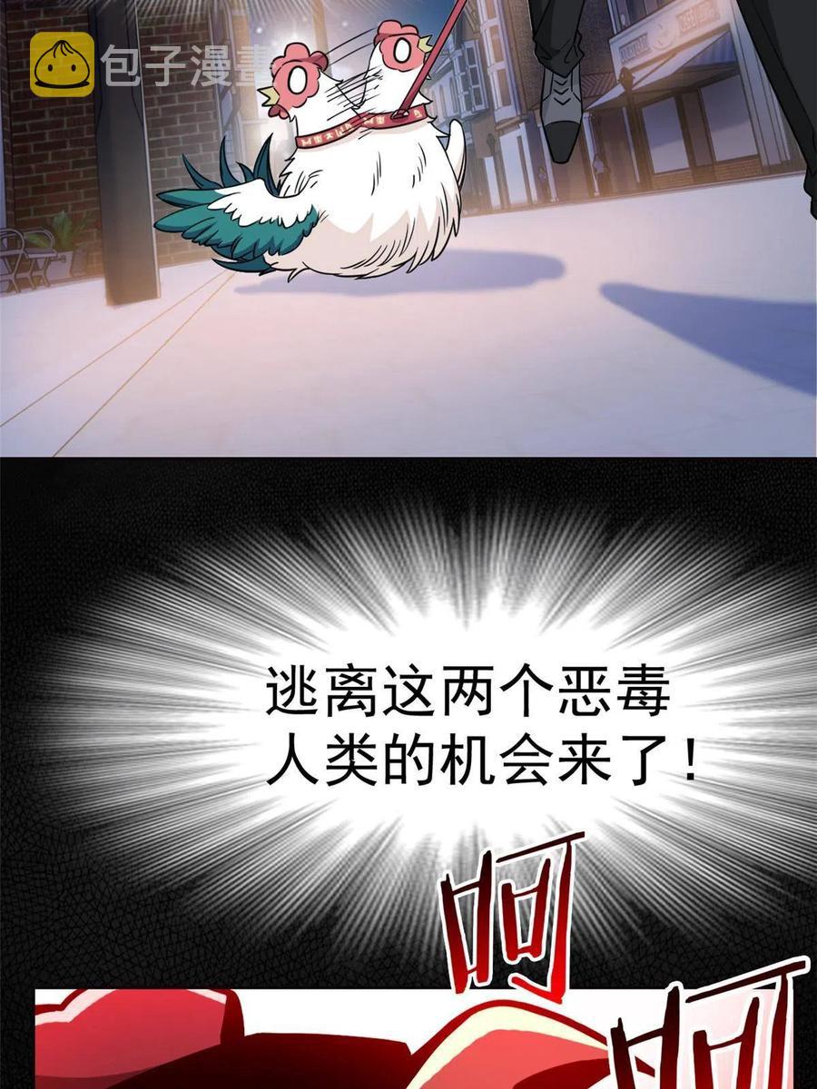 79 公鸡领路，法王被坑37