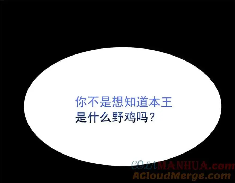 221 妖王救鸡，王妃看我！157