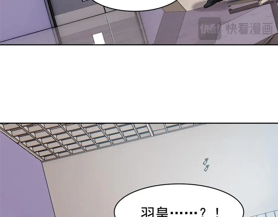 254 鸡什么鸡！我是凤凰！56