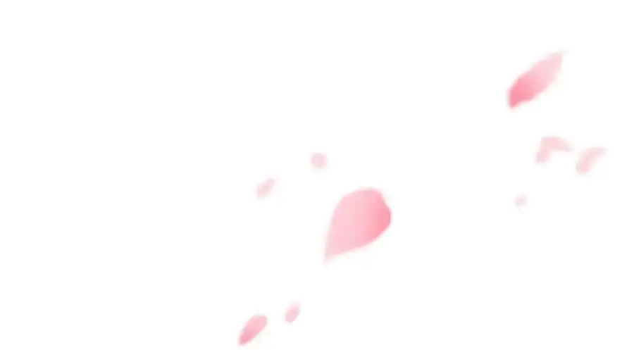 206 说话算话，回来娶你67