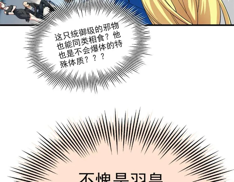 227 我是公鸡，可爱火鸟62