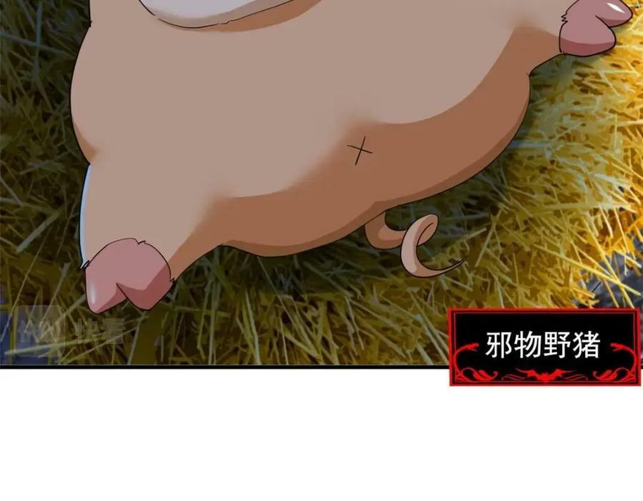 178 镇国之鸡，苍澜羽皇25