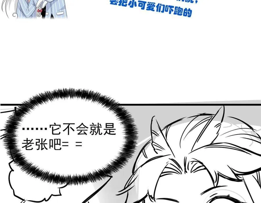 258 凤凰拔毛，说谎代价83