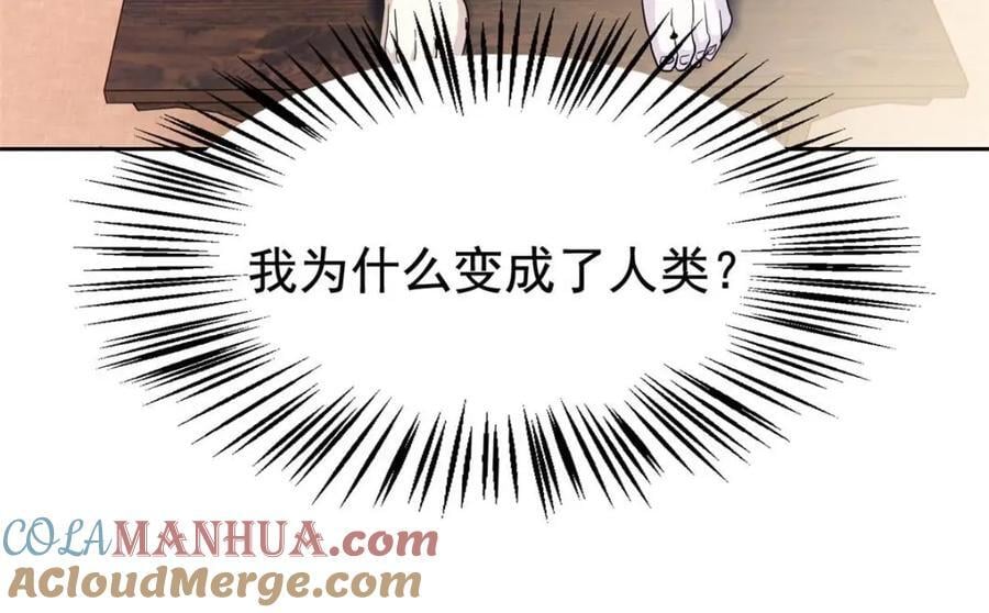 185 性转母鸡，惨遭蹂躏41