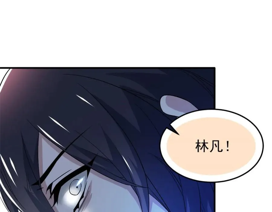 227 我是公鸡，可爱火鸟88