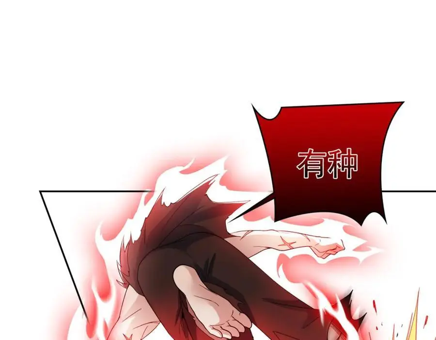 204 叫你打我，没让打死！62